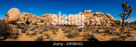 Felsformation in einer kargen Landschaft, Joshua Tree National Monument, Kalifornien, USA Stockfoto