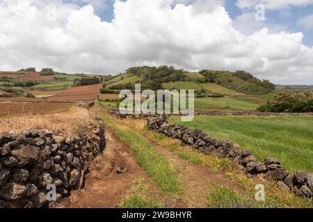 Landschaft, Schutzgebiet von Sao Sebastiao, Terceira, Azoren Stockfoto