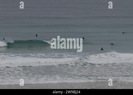 Hale Beach, Cornwall, Großbritannien. Dezember 2023. Einheimische Surfer, Familien und Hundeschlittenläufer genießen den zweiten Weihnachtsfeiertag am kornischen Strand von Hale. Stockfoto