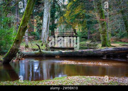 Rhinefield Bridge über Blackwater Stream, Ornamental Drive, Brockenhurst, New Forest, Hampshire, Uk Stockfoto