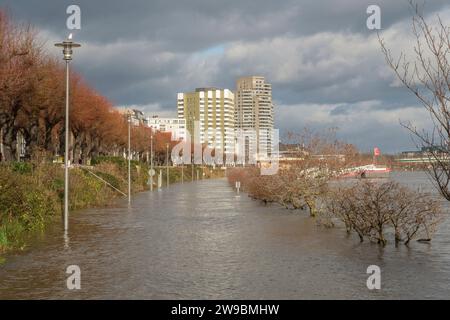 Hochwasser auf dem Rhein in der Kölner Innenstadt Stockfoto