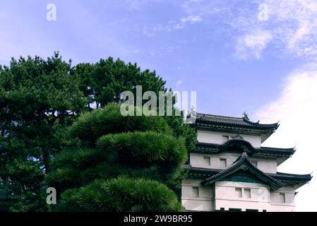 Aussichtsturm im Inneren des Schlosses in Tokio Stockfoto