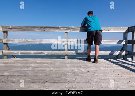 Während der Sommermonate genießt ein Wanderer die Aussicht vom Gipfel des Mount Carrigain in den New Hampshire White Mountains. Mount Carrigain wurde benannt Stockfoto