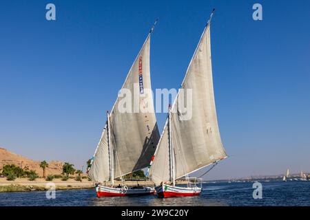 Zwei Feluken am Nil, Assuan, Ägypten, Nordafrika Stockfoto