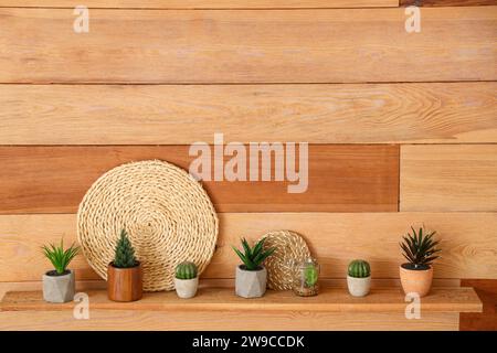 Regal mit schönen Sukkulenten an Holzwand im Wohnzimmer Stockfoto