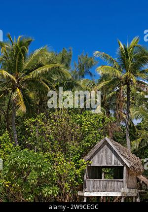 Südpazifik-Bootstour / Reetdachhütte auf Mystery Island. Nach der Abfahrt von Sydney, Australien, fährt dieses Kreuzfahrtschiff nach Neukaledonien und Vanuatu. Stockfoto