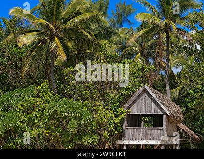 Südpazifik-Bootstour / Reetdachhütte auf Mystery Island. Nach der Abfahrt von Sydney, Australien, fährt dieses Kreuzfahrtschiff nach Neukaledonien und Vanuatu. Stockfoto