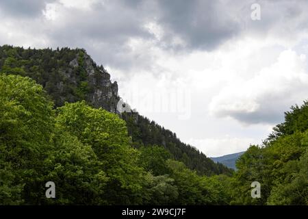 Atemberaubend schöne Aussicht auf die slowakischen Berge und den Wald. Stockfoto