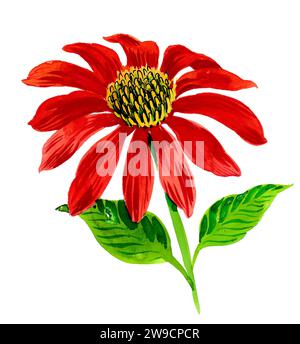 Rote Blume. Handgezeichnete Aquarellskizze Stockfoto