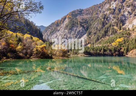 Ein malerischer Bergsee im Herbst, umgeben von gelbblättrigen Bäumen und Laub Stockfoto