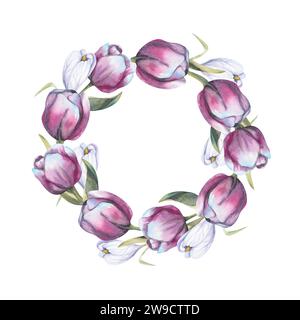 Aquarellvioletter Tulpenkranz. Runder Rahmen mit Blumen für Etiketten, Logo und Einladungsdesign. Blumenarrangements mit Tulpen und Krokussen. Stockfoto