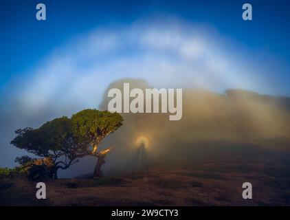 Brocken Spectre, auch Brockenbogen, Mountain Spectre oder Spectre of the Brocken genannt Stockfoto