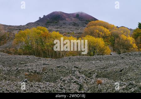 Der alte Vulkan M. Mezzaluna und der Herbstbirkenhain im Ätna-Park, Sizilien, Italien Stockfoto