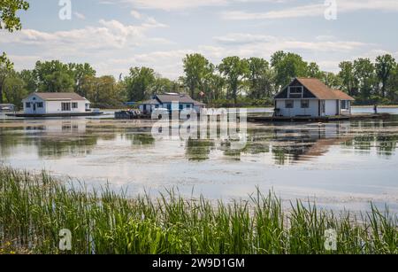 Die Hausboote am Horseshoe Pond im Presque Isle State Park, Erie, PA Stockfoto