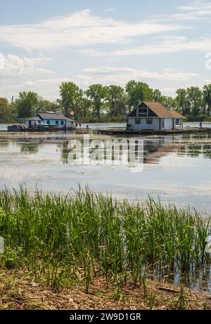 Die Hausboote am Horseshoe Pond im Presque Isle State Park, Erie, PA Stockfoto