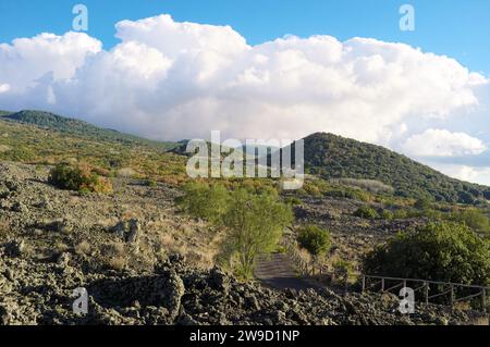 Altes Lavafeld und alte Vulkanbäume bedeckt im Ätna Park, Sizilien, Italien Stockfoto