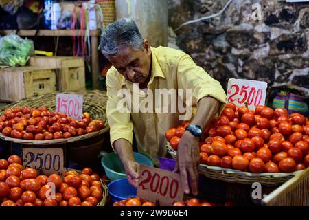 Port Louis, Mauritius - 25. Oktober 2023: Verkäufer, der Tomaten an einem Verkaufsstand auf dem Central Market verkauft Stockfoto