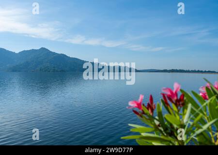 Berg- und Wasserquelle vom Damm und hübsche Frühlingsblumen im Vordergrund. Khun Dan Prakan Chon Dam, Thailand. Stockfoto