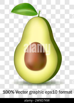 Realistische ganze Avocado, halb mit Blättern in wirbelnder Bewegung. Saftige Früchte für natürliches Produkt-Vektor-Design. Schneiden Sie reife Avocado mit Stein für gesund Stock Vektor
