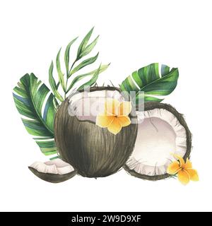 Kokosnüsse ganz, Hälften und Stücke mit hellen, grünen, tropischen Palmenblättern und gelben Plumerieblättern. Handgezeichnete Aquarellillustration. Vorgefertigt Stockfoto