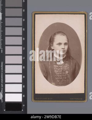 Porträt von Jacqueline E. van der Waals, Alexandre & Cie., 1876 - 1900 Fotografie. Besuchskarte Amsterdam Karton. Fotografische Unterstützung historischer Personen Amsterdam Stockfoto