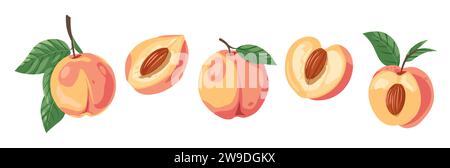 Hand gezeichnet bunter Pfirsichvektor Set isoliert. Stock Vektor