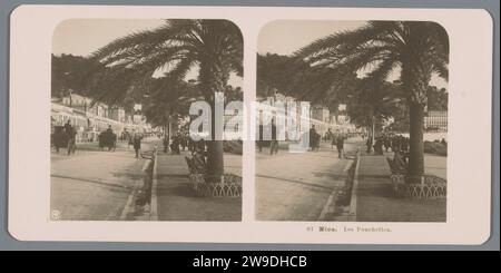 Test op les ponchettes te Nice, neue Fotogesellschaft, 1904 Stereogramm Nice Pappe. Fotomaterial Gelatine Silberdruck Avenue, Boulevard, Promenade, Esplanade. Bäume: Palmen Stockfoto