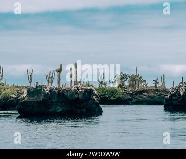 Ruhiges Wasser umgeben von Felsformationen und Kakteen in Los Tuneles, Isla Isabela, Galapagos, Ecuador Stockfoto