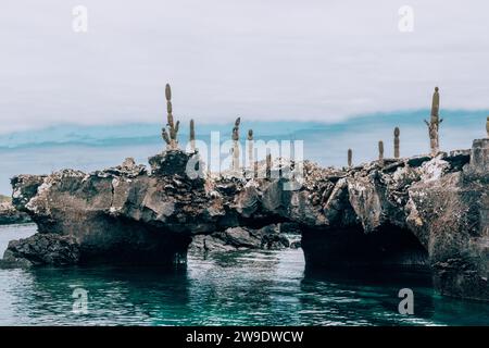 Ruhiges Wasser umgeben von Felsformationen und Kakteen in Los Tuneles, Isla Isabela, Galapagos, Ecuador Stockfoto