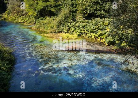 Blue Eye natürliche Wasserquelle in Albanien. Kristallklares Wasser mit grünen Pflanzen in Muzinë. Stockfoto