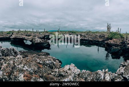 Ruhiges Wasser umgeben von Felsformationen und Kakteen in Los Tuneles, Isla Isabela, Galapagos, Ecuador Stockfoto