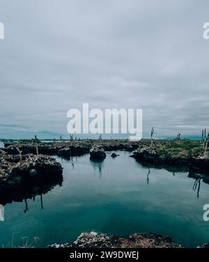 Ruhiges Wasser umgeben von Felsformationen und Kakteen in Los Tuneles, Isla Isabela, Galapagos, Ecuador Stockfoto