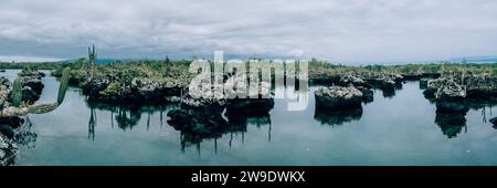 Ruhiges Wasser umgeben von Felsformationen und Kakteen in Los Tuneles, Isla Isabela, Galapagos, Ecuador Stockfoto