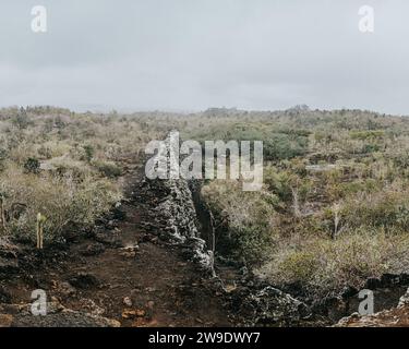 Historische Mauer der Tränen (El Muro de las Lágrimas) auf Isla Isabela, Galapagos, Ecuador, inmitten einer zerklüfteten Naturlandschaft Stockfoto