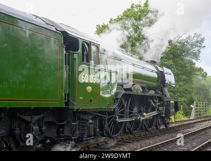 Der Besuch der Bluebell Railway in West Sussex zum hundertjährigen Jubiläum des Flying Scotsman Stockfoto