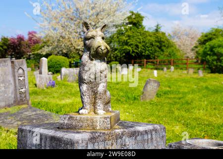 Grabdenkmal eines Hundes auf dem Ilford PDSA Animal Cemetery in Ilford, England Stockfoto