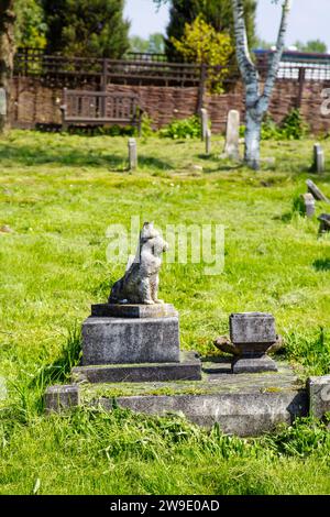 Grabdenkmal eines Hundes auf dem Ilford PDSA Animal Cemetery in Ilford, England Stockfoto