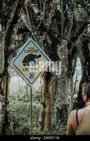 Straßenschild, das die Überquerung der Schildkröte in Galapagos, Ecuador, anzeigt, dass Vorsicht geboten ist und Wildtiere geschützt werden müssen. Stockfoto