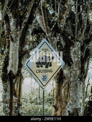 Straßenschild, das die Überquerung der Schildkröte in Galapagos, Ecuador, anzeigt, dass Vorsicht geboten ist und Wildtiere geschützt werden müssen. Stockfoto
