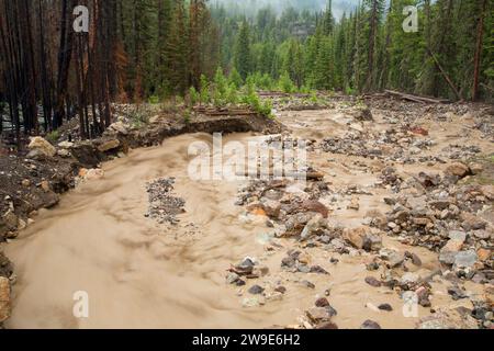 Creek nach Unwetter, Shoshone National Forest, Beartooth Scenic Byway, Wyoming Stockfoto