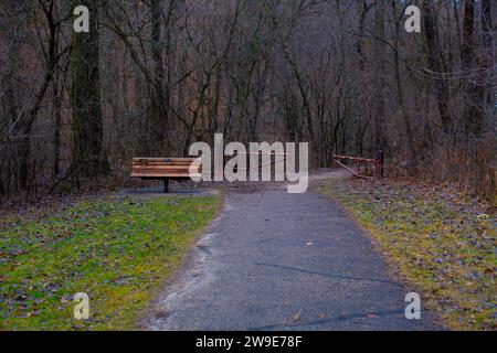 Ein unbewohnter Fußweg schlängelt sich durch eine malerische Waldlandschaft Stockfoto