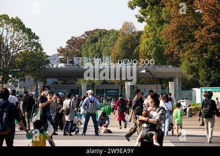 Tokio, Japan; 1. Oktober 2023: Festliche Atmosphäre im Tokioter Ueno-Park an einem Herbstsonntag. Stockfoto