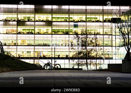 Calgary Alberta Canada, 28. November 2023: Studenten auf dem Campus studieren mit Blick auf einen Platz mit Bäumen und Fahrrad an der University of Calgary Stockfoto