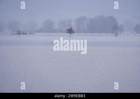 Fuhlen, Deutschland. Dezember 2023. Wiesen und Felder werden vom Hochwasser der Weser überflutet. Die Weser hat in den letzten Tagen 6,60 Meter erreicht. Quelle: OLE Spata/dpa/Alamy Live News Stockfoto