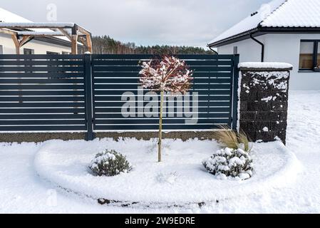 Ein moderner anthrazitfarbener Tafelzaun, sichtbare Pflanzen vor dem Zaun. Stockfoto