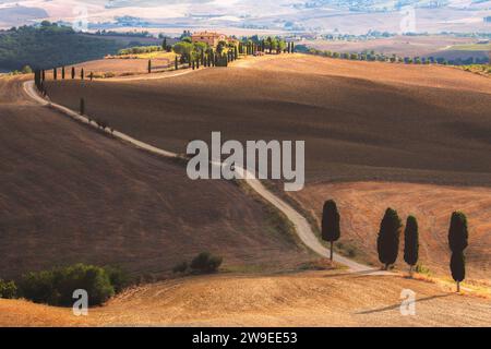 Toskanische Zypressen entlang einer Landstraße, die zu einem rustikalen Bauernhaus auf einem Hügel in der malerischen Landschaft von Val d'Orica, Toskana, Italien führt. Stockfoto