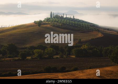Morgennebel durch das Tal von Val d'Orcia in der malerischen Landschaft Ackerland und sanften Hügeln der ländlichen Toskana, Italien. Stockfoto