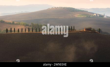 Morgennebel durch das Tal von Val d'Orcia in der malerischen Landschaft Ackerland und sanften Hügeln der ländlichen Toskana, Italien. Stockfoto