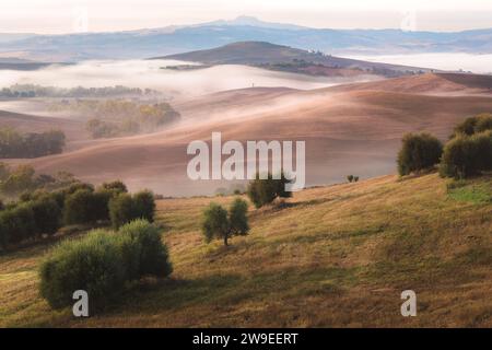Stimmungsvoller Morgennebel durch das Tal von Val d'Orcia in der malerischen Landschaft und sanften Hügeln der ländlichen Toskana, Italien. Stockfoto