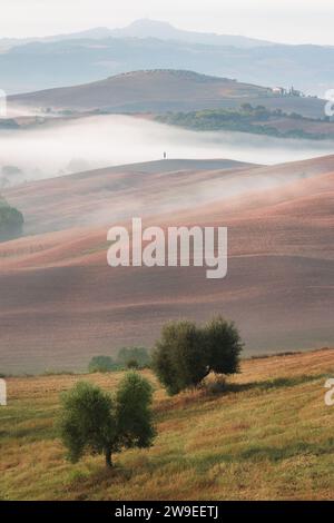 Malerische Landschaft mit sanften Hügeln und Ackerland in der ländlichen Toskana, Italien. Stockfoto